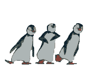 Why Penguin?